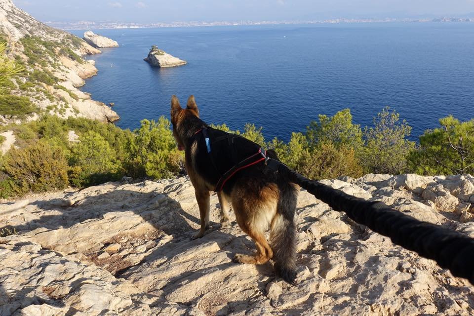 Les calanques de la cote bleue