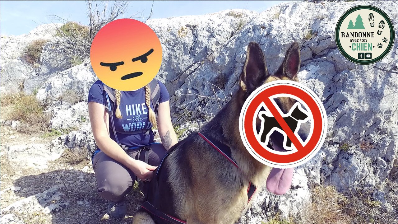 Les randonnées interdites aux chiens